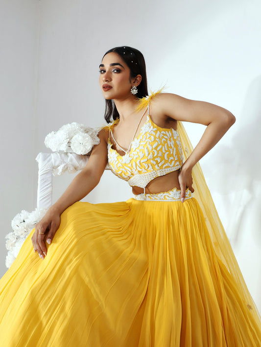 Aisha lehenga set - Nishi Madaan Label